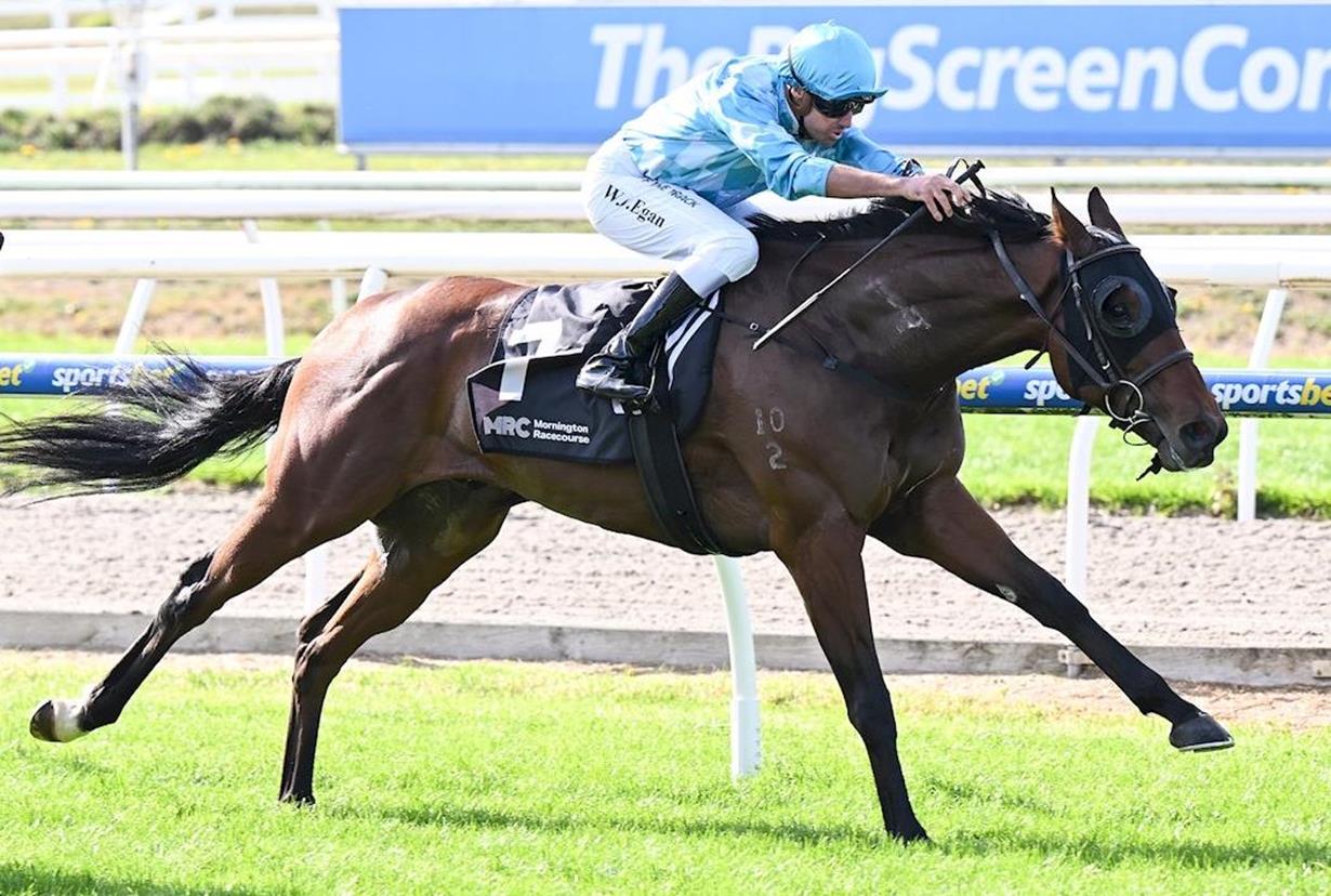 WONDERDOWNUNDER SHEDS TAG